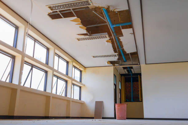 Best Commercial water damage restoration  in Louise, TX