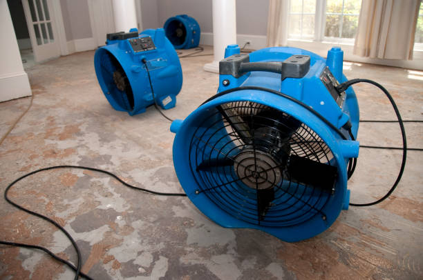 Sewage cleanup and water damage restoration in Louise, TX