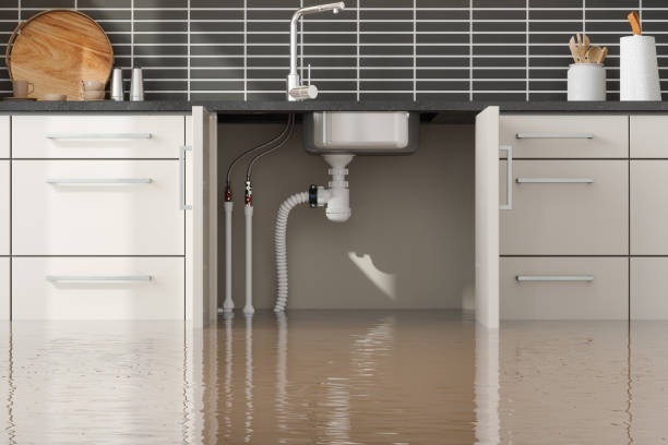 Best Water damage cleanup near me  in Louise, TX