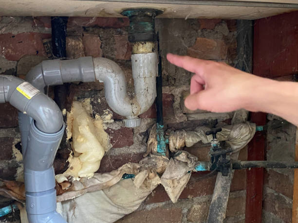 Best Ceiling water damage repair  in Louise, TX